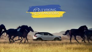 Часто задаваемые вопросы Viking Motors